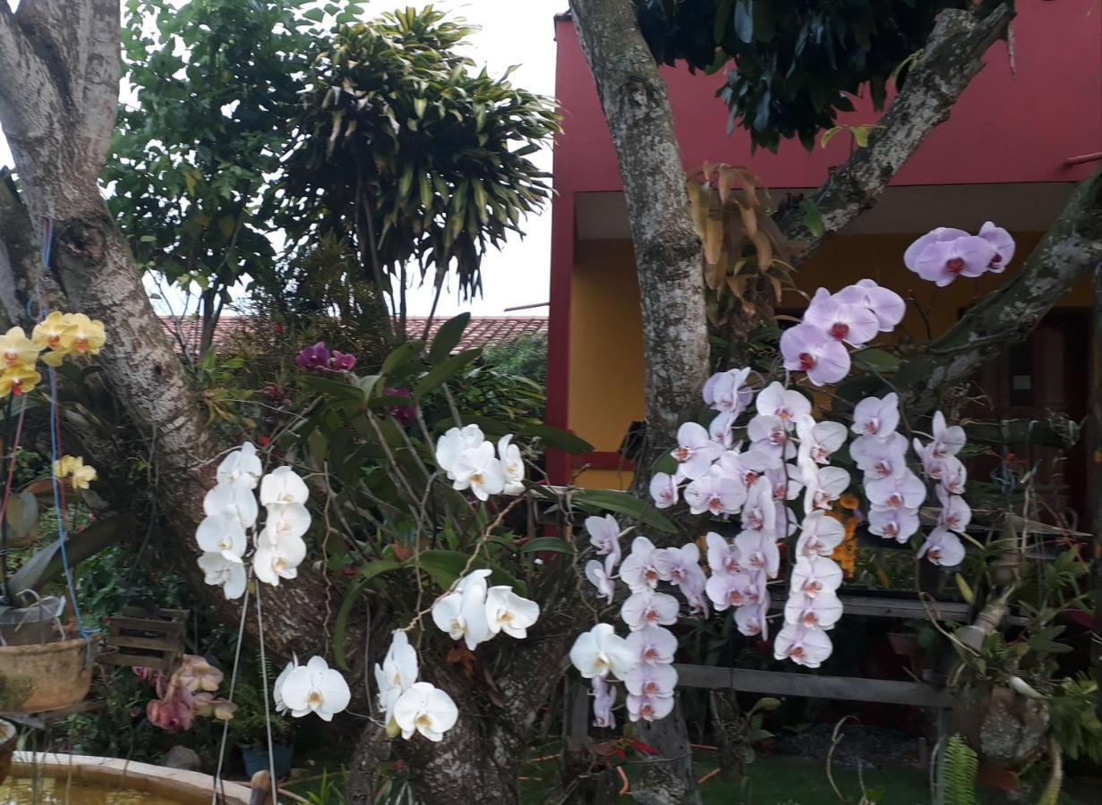 Pousada Bromelias - Suites E Aptos Nova Viçosa Kültér fotó